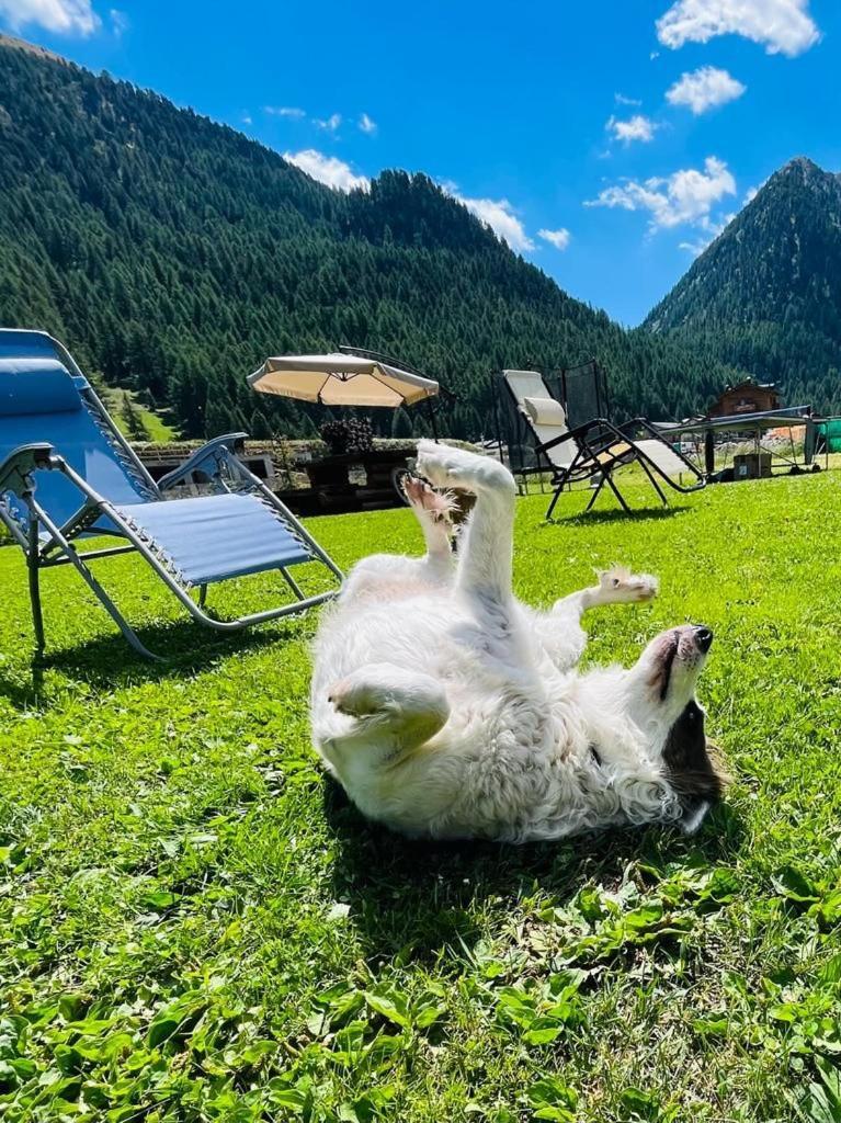 Chalet Sunshine Livigno Exteriér fotografie